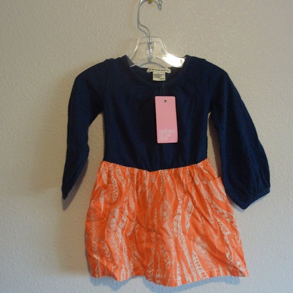 Anthem of the Ants Colorblock dress